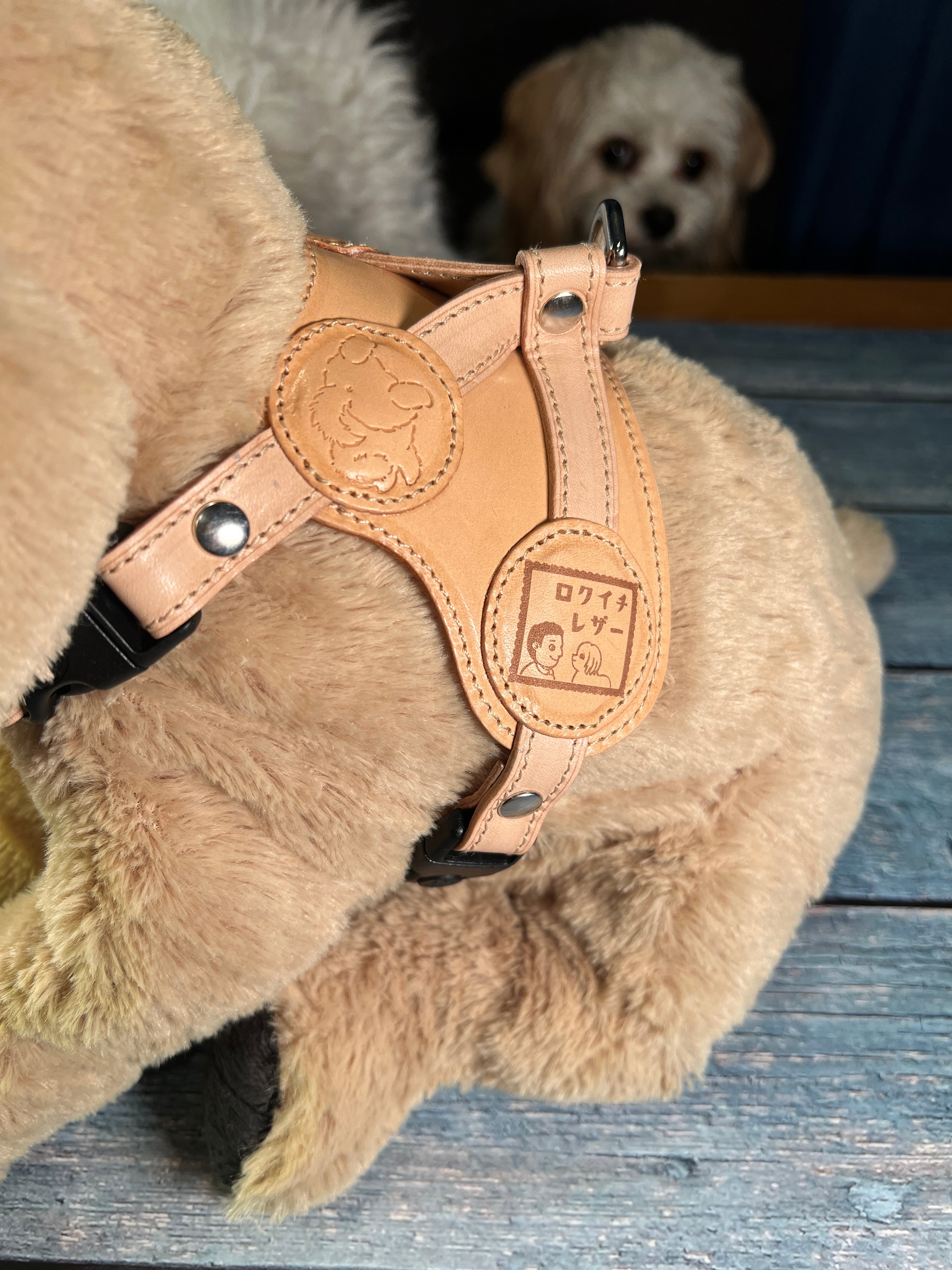 レザーハーネス 背あてタイプ 愛犬用 本革 名入れ オーダーメイド 本革