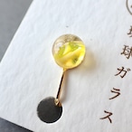イヤリング / 琉球ガラス