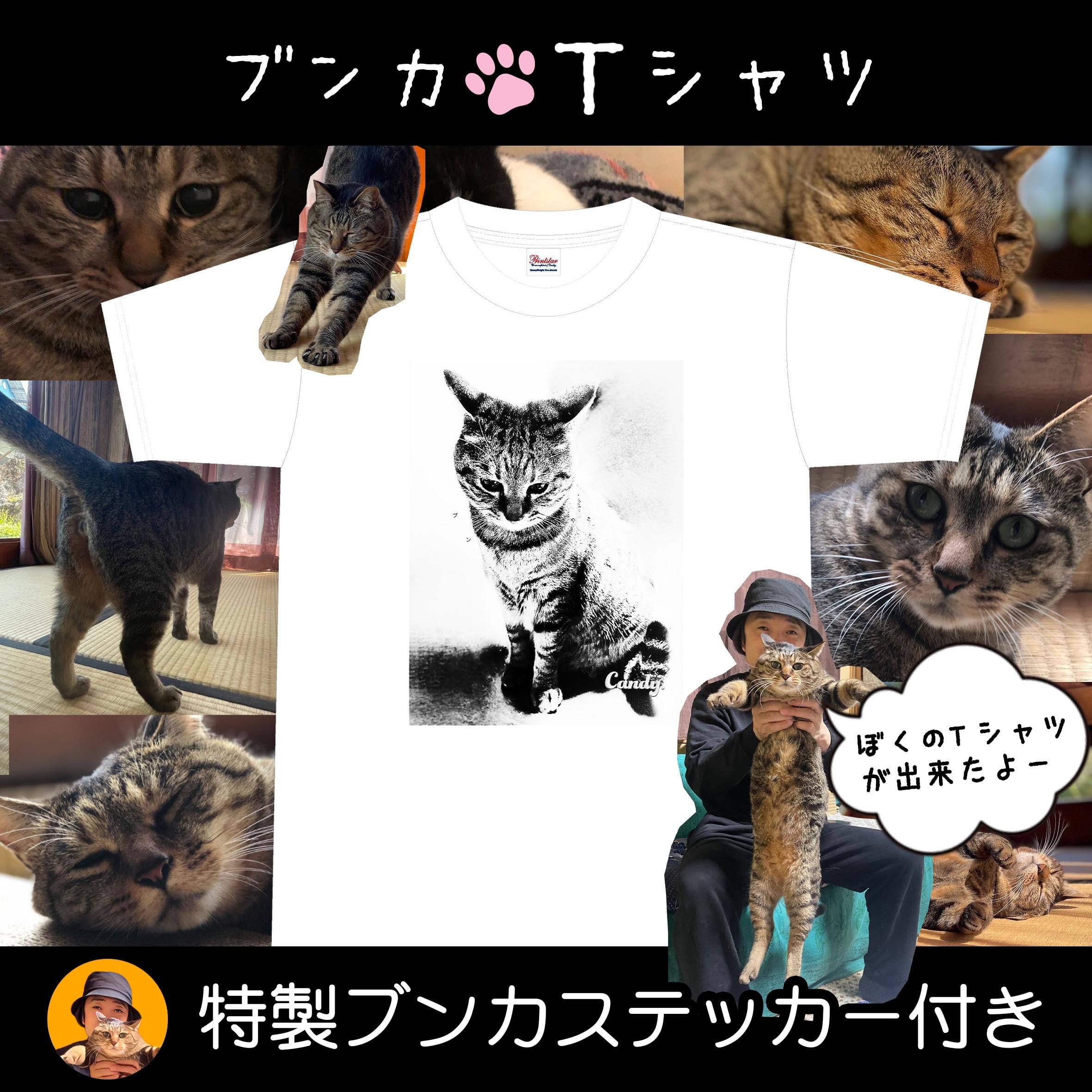 【ねこ】ブンカTシャツ【初代店長デザイン】