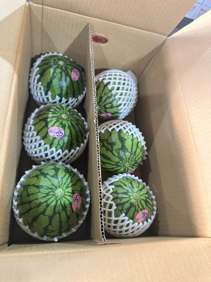 新鮮ヒカマ・Củ đậu - Vietnam Jikama 1kg | PAY ID