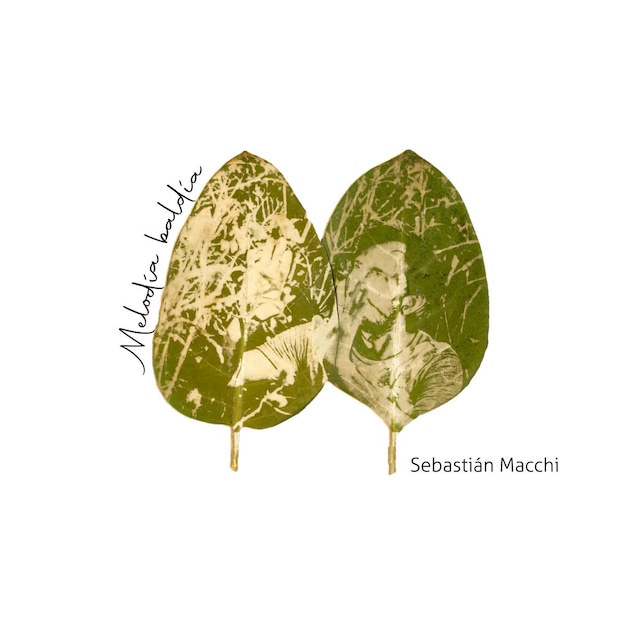 【CD】Sebastián Macchi - Melodía Baldía（bar buenos aires / Shagrada Medra）