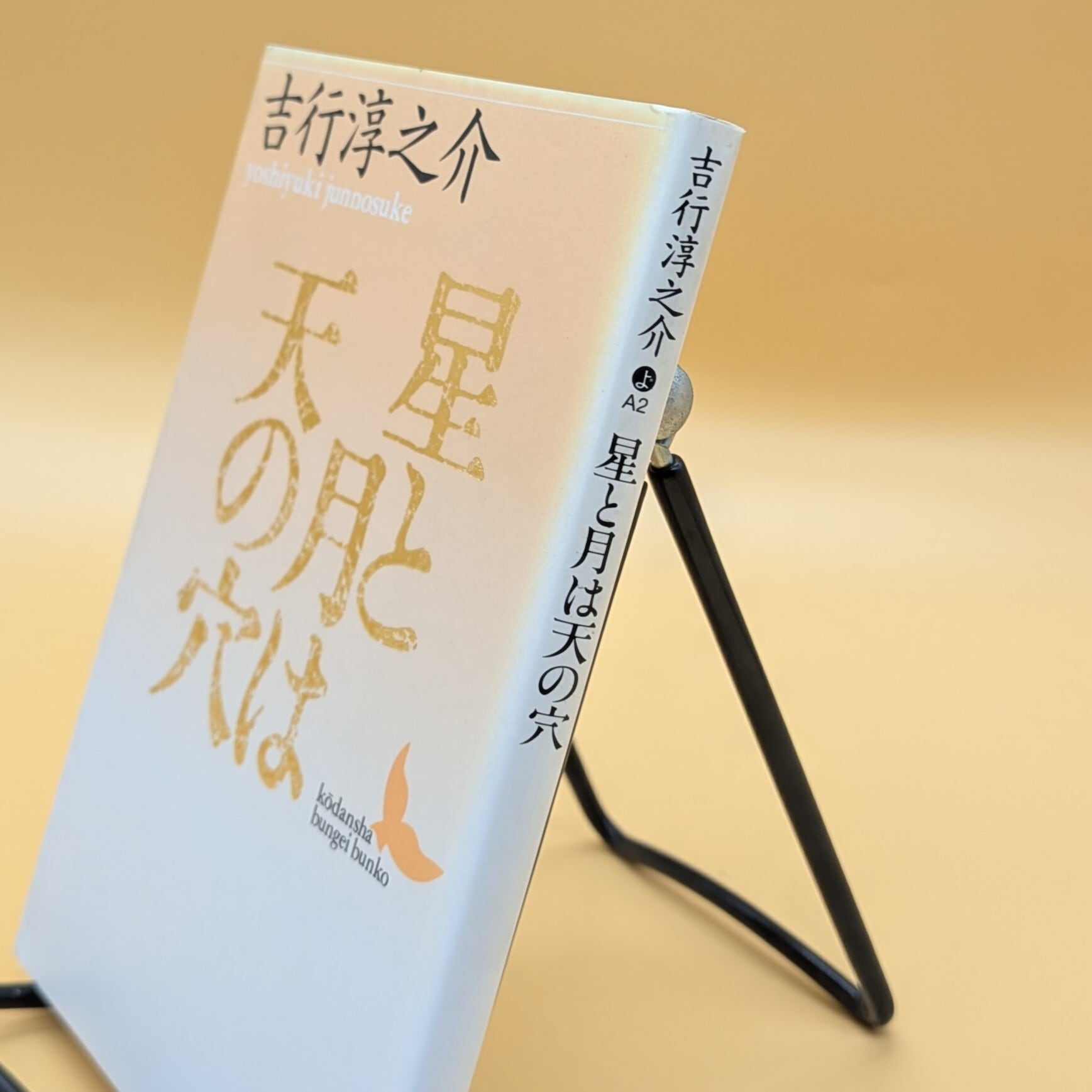 星と月は天の穴（講談社文芸文庫） | まわりみち文庫