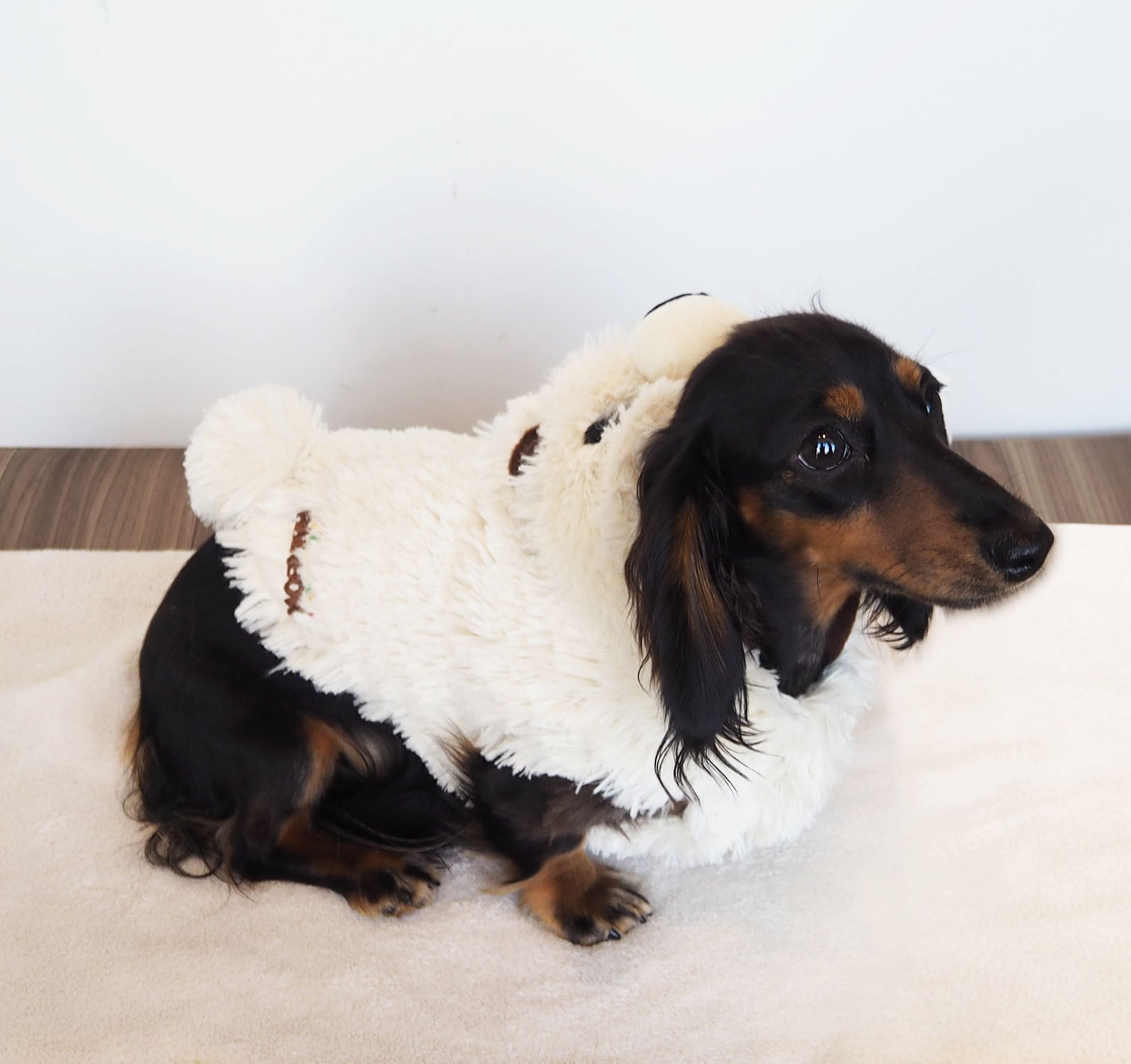 【ドッグウェア】ふわふわしろくま