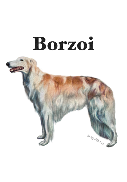 gray original Dog face &breed printed S/S TEE［Borzoi］