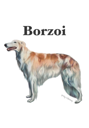 gray original Dog face &breed printed S/S TEE［Borzoi］