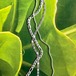 【Silver 925】Summer random 福袋 for Women