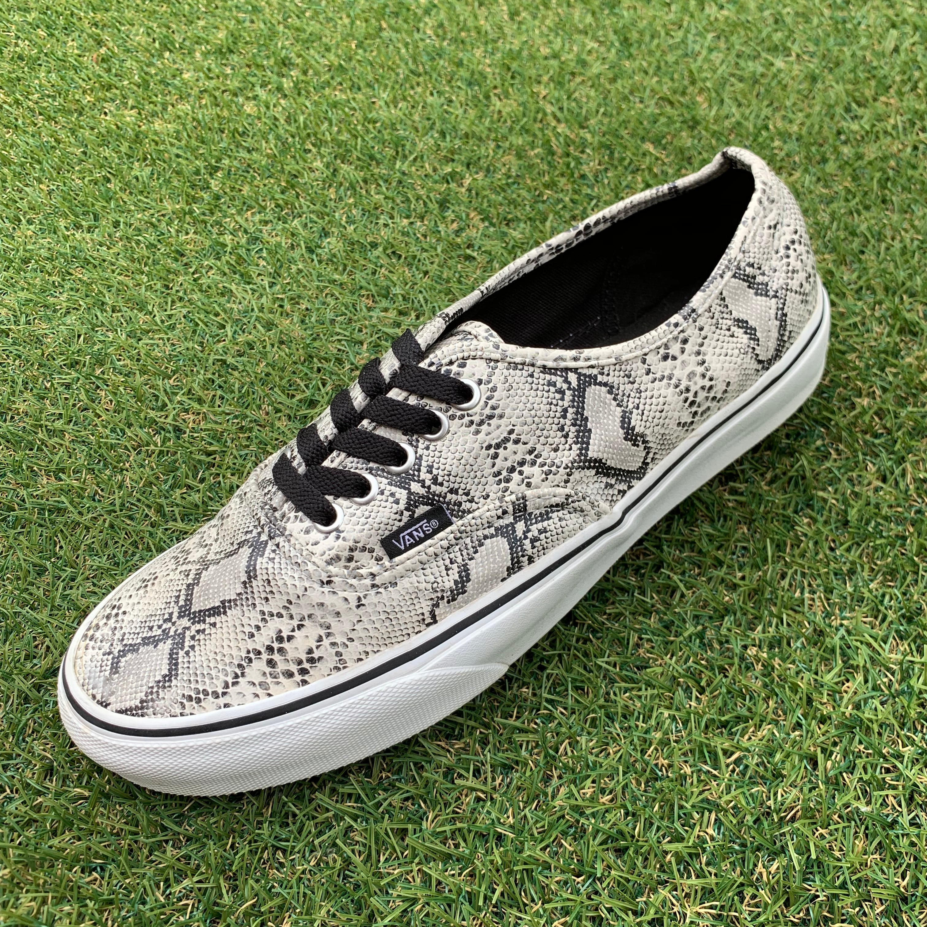 VANS AUTHENTIC SNAKE ヴァンズ オーセンティック スネーク C141 | Pay ID