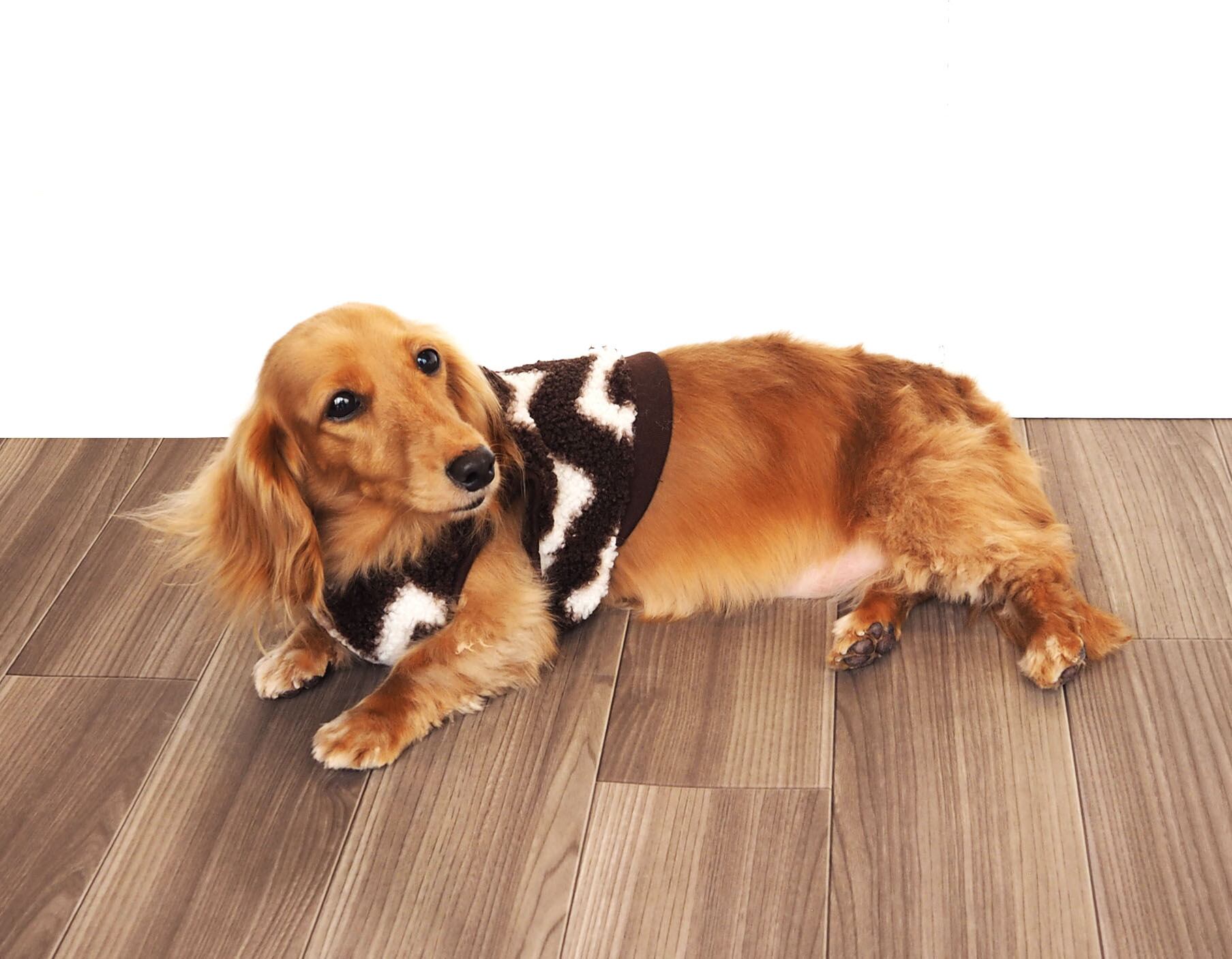 【ドッグウェア】2024ジグザグボアベスト ブラウン/ブラック