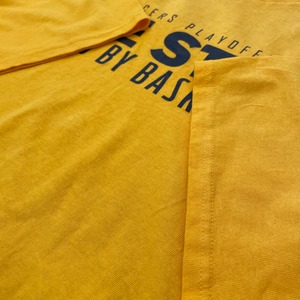 【DELTA PRO WEIGHT】NBA  INDIANA PACERS ペイサーズ バスケ プリント Tシャツ 企業ロゴ X-Large ビッグサイズ us古着