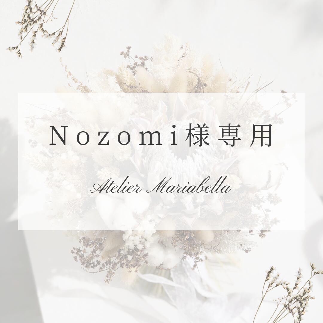 NOZOMI様専用ページ のぞみ様専用 のぞみ様専用ページ 専用