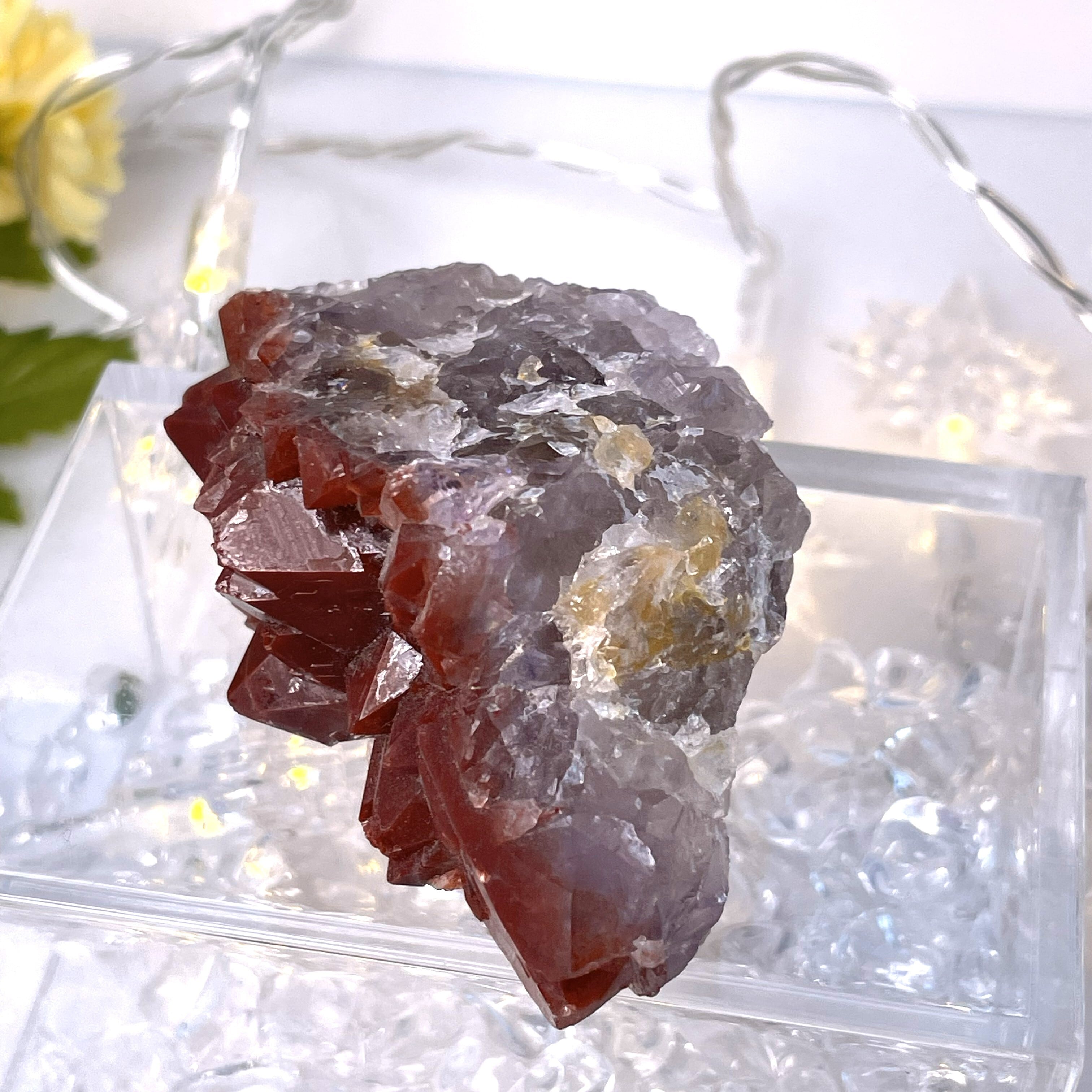 【陰陽を統合し、現実を一気に動かす変容の結晶】 アメトリン・レッドキャップス クラスター G4_2