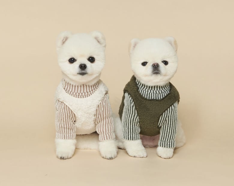 クマちゃんベストver.2 S ~ XL 5color / 犬服 秋冬 ベスト ドッグウェア アウター 新作 もこもこ ペット洋服 b42