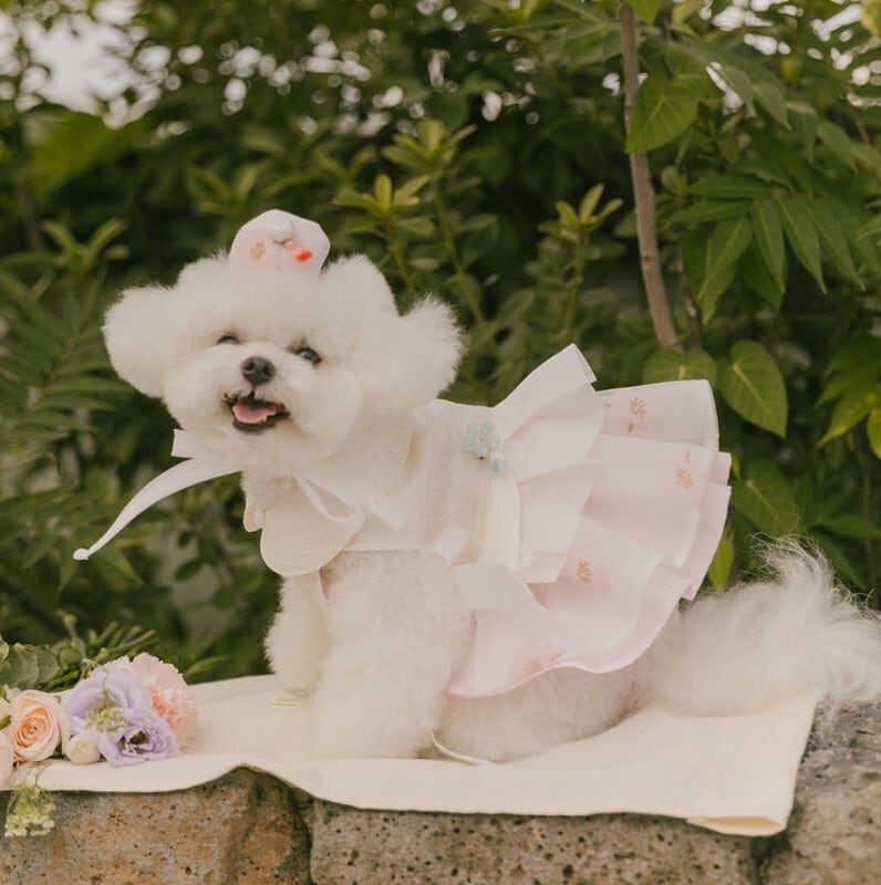 予約【todley】Blossom Hanbok Dress《Pink》