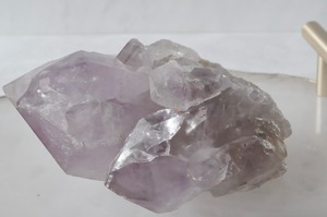 マルチに活躍26