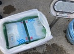 ■1箱：18kg入り【釣り餌用 ムール貝】Lサイズ 6