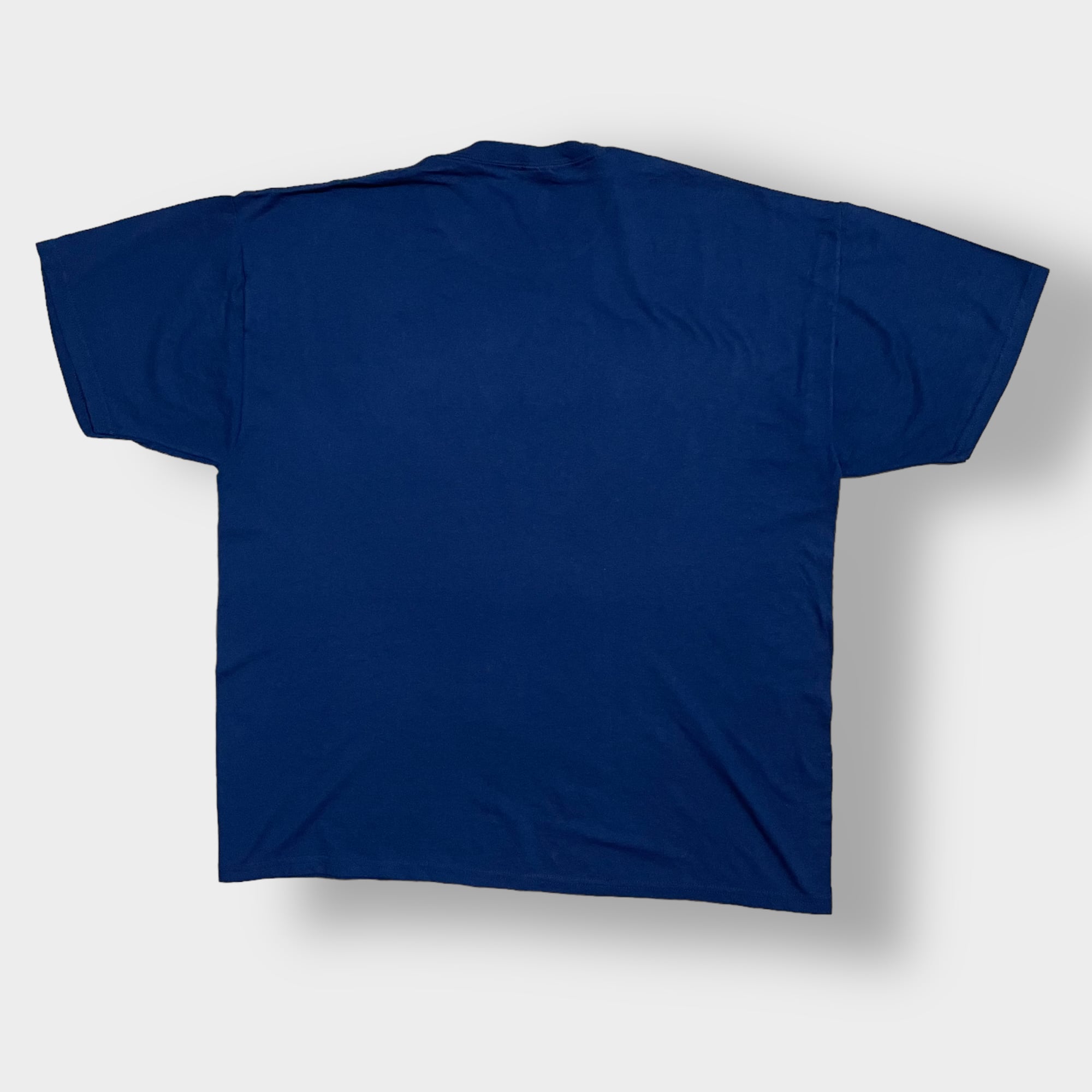 JERZEES】2XL ビッグシルエット イラスト アーチロゴ Tシャツ PARKWOOD