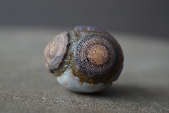 ゴビアゲート Gobi Agate 1685