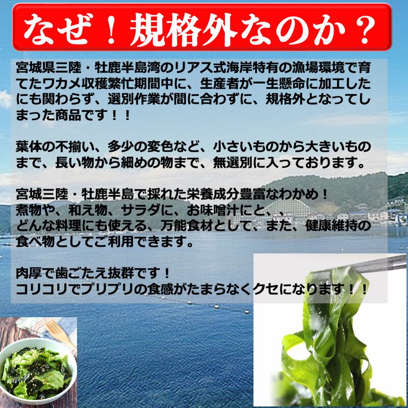 規格外　乾燥ワカメ　送料無料　宮城・三陸小渕浜産　業務用７Kg/箱　こだわり市場