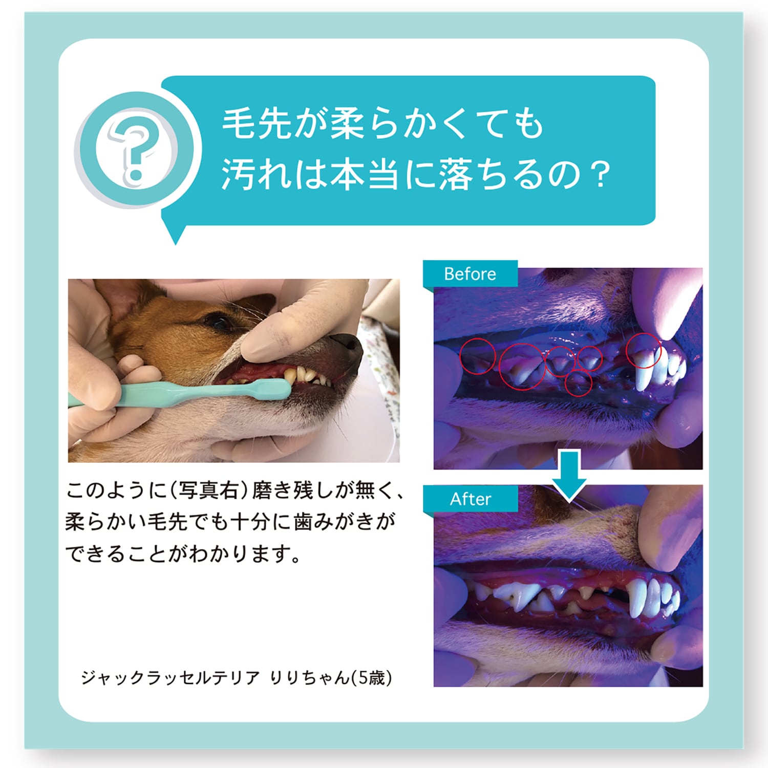 オーラバイオブラシ 短毛タイプ（歯科衛生士推奨） | BYRON公式