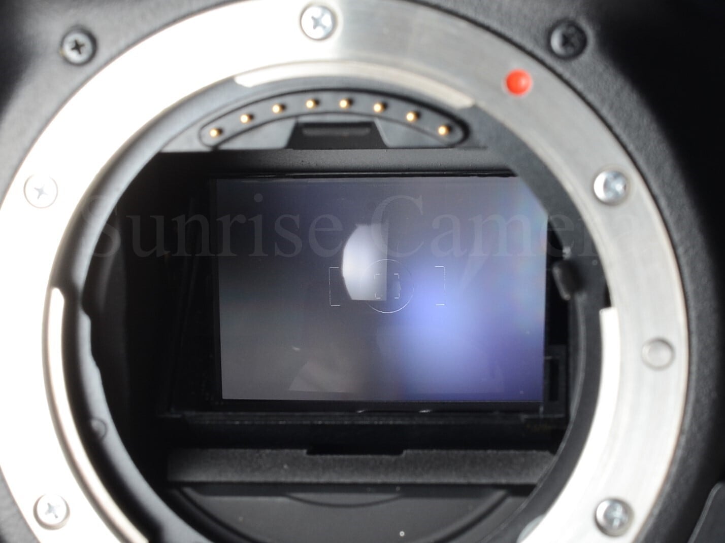 中古】MINOLTA α-9 ボディ VC-9付 ミノルタ (61092) | サンライズ