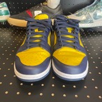 Nike Dunk Low Michigan (2021) US8.5/26.5cm
