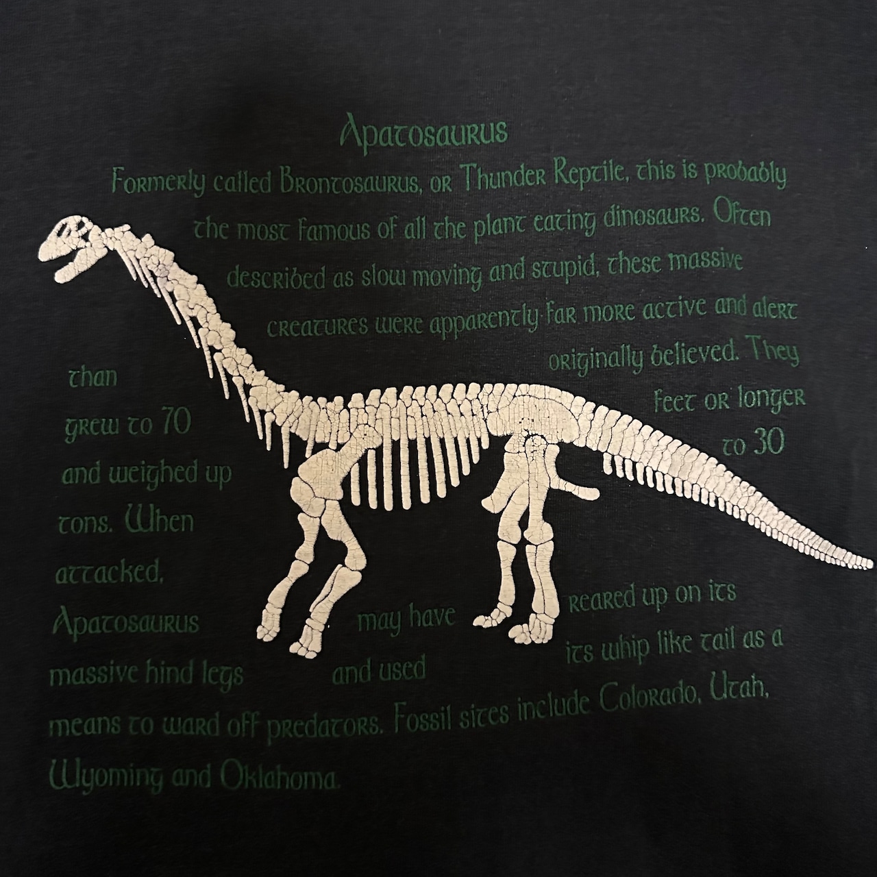 ●90s 恐竜 アパトサウルス Tシャツ