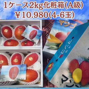 【予約受付開始】沖縄県産マンゴー（優品２Kg)　御中元・ギフトに大切な方への贈り物に！