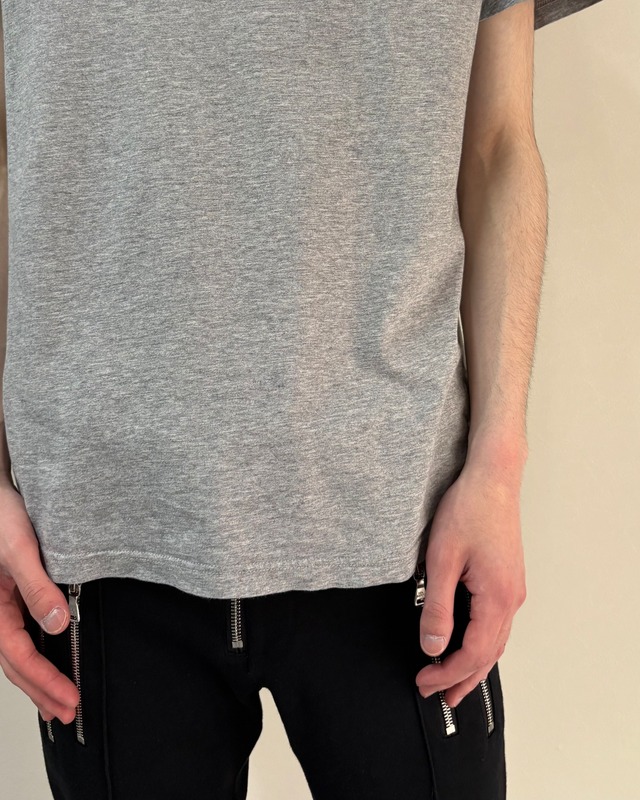 【ALEXANDER MCQUEEN】swallow T-shirt