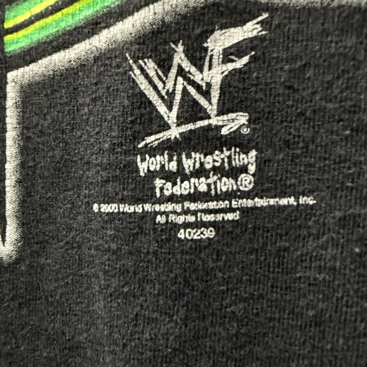 【WWF】 Triple H トリプルH "I AM THE GAME" Vintage Tシャツ