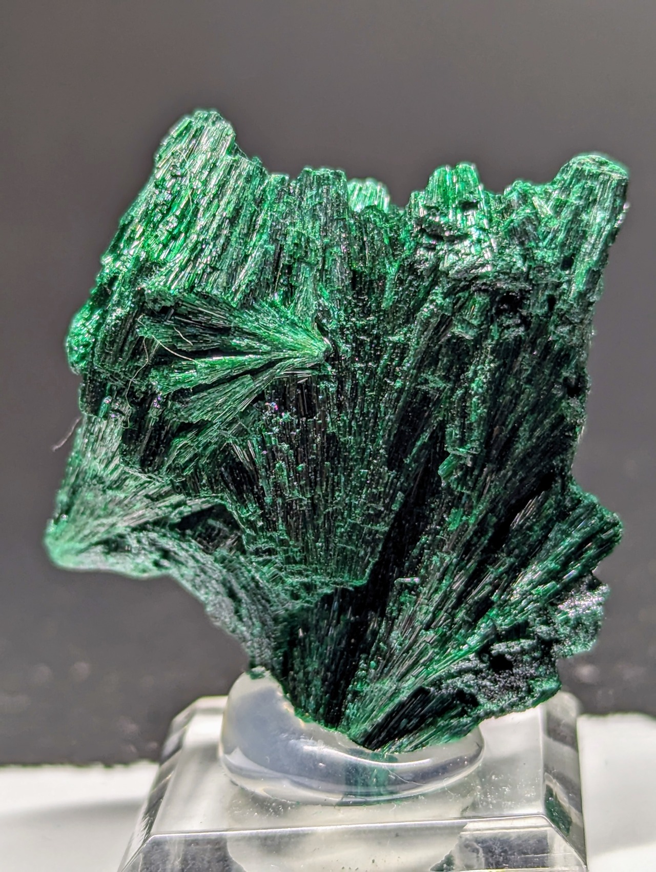 Mashamba Compus 【ライブ/piko様専用】ベルベットマラカイト Mashamba mine, Katanga (Shaba), Congo R5-1270 ...