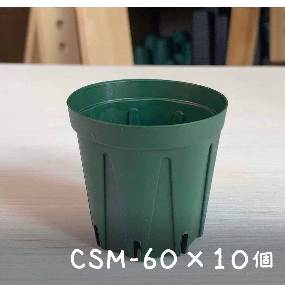 【10個セット】CSM-60（2号・6cm） スリット鉢 Botanique(ボタニーク)