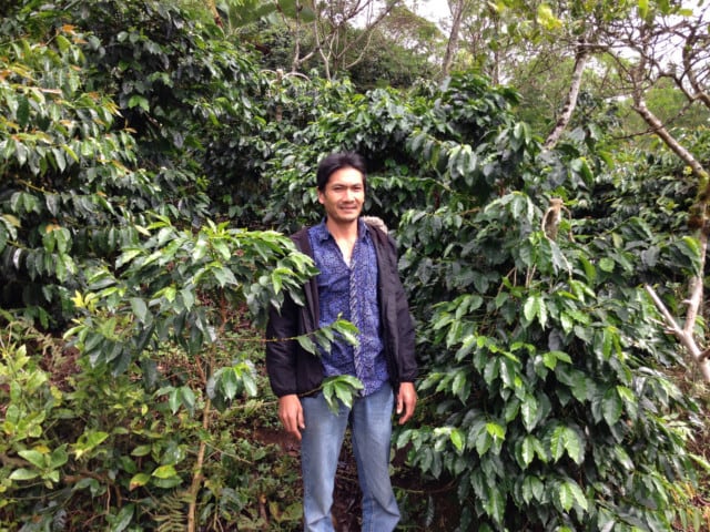 インドネシア アチェ アルールバダ トップスペシャリティコーヒー 300g