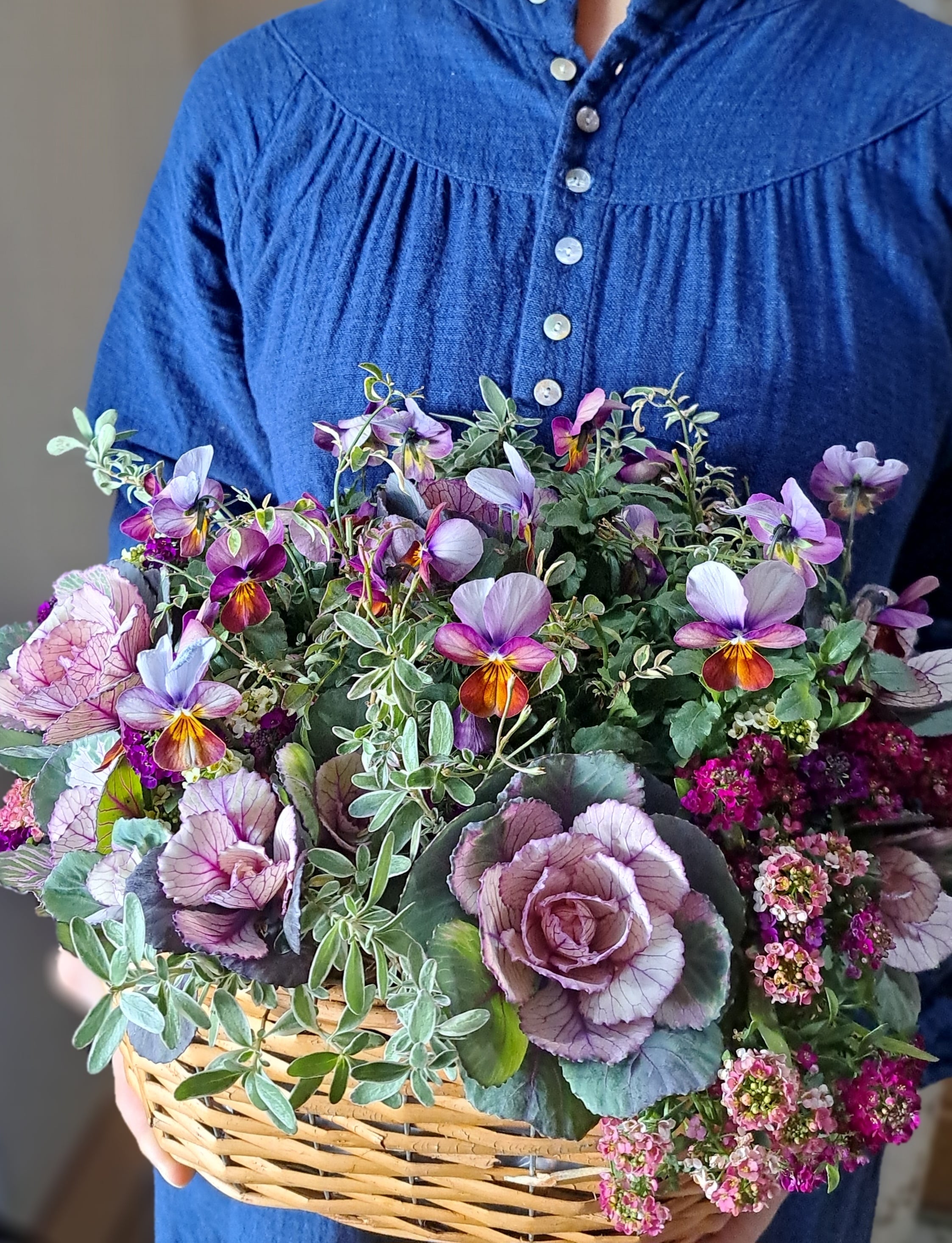 アンティークカラービオラとハボタンの花籠寄せ植え | はなにわ