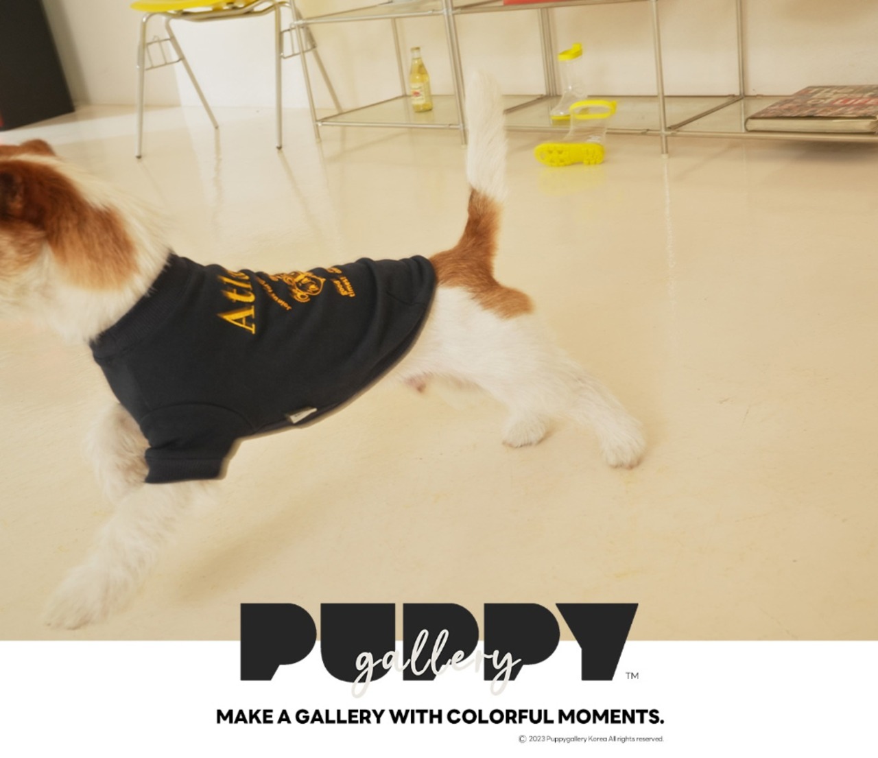 即納のみ【PUPPYGALLERY公式】アトランタベーシンクティシャツ【ネイビー】3XL