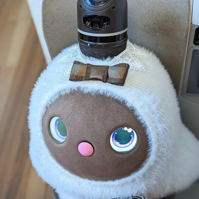 LOVOT花と蝶ピンクチュールドレス | らぼ服ファッショングッズの