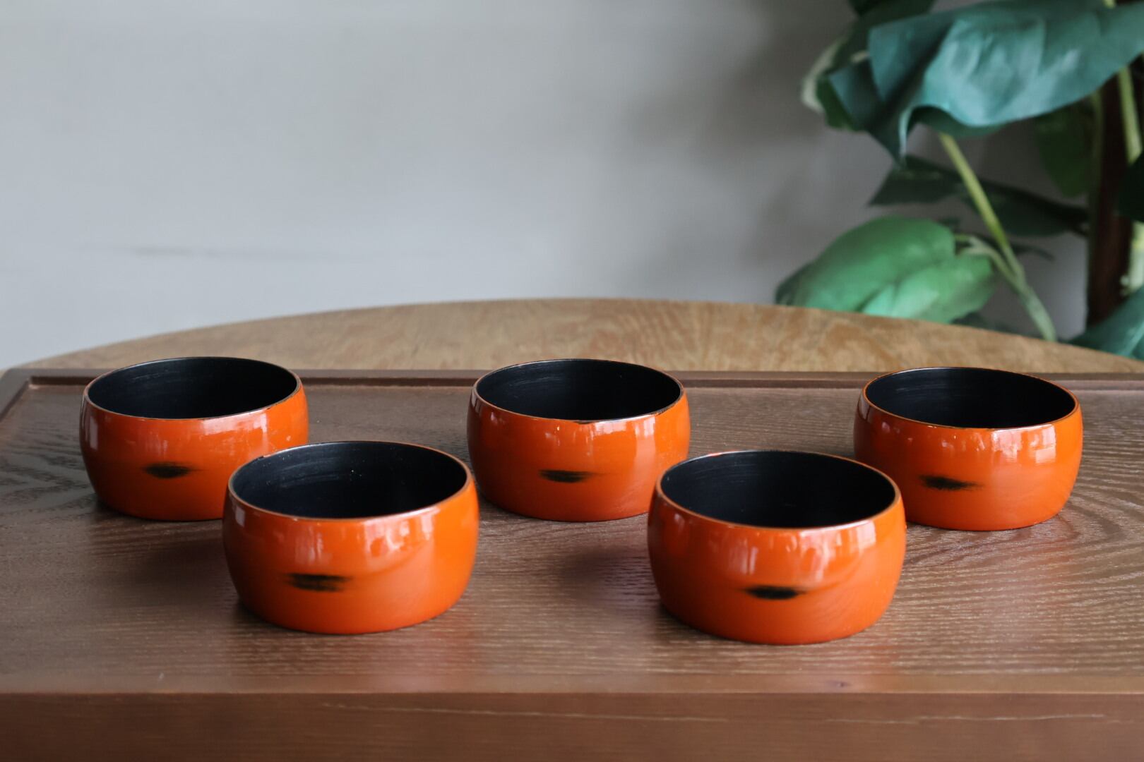 酒袴 NO.1 タイコ酒ハカマ 朱 5個セット