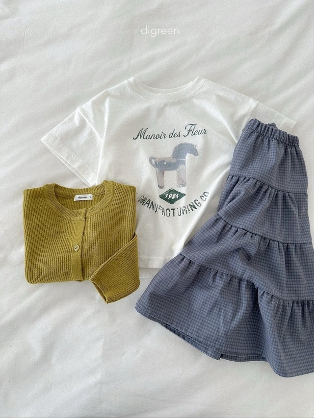 〘予約〙digreen / check ruffle skirt