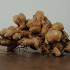 RELAXING HOT APPLE GINGER［リラクシングアップルホットジンジャー］