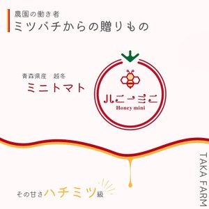 ハニーミニ(大きなサイズ)　800g