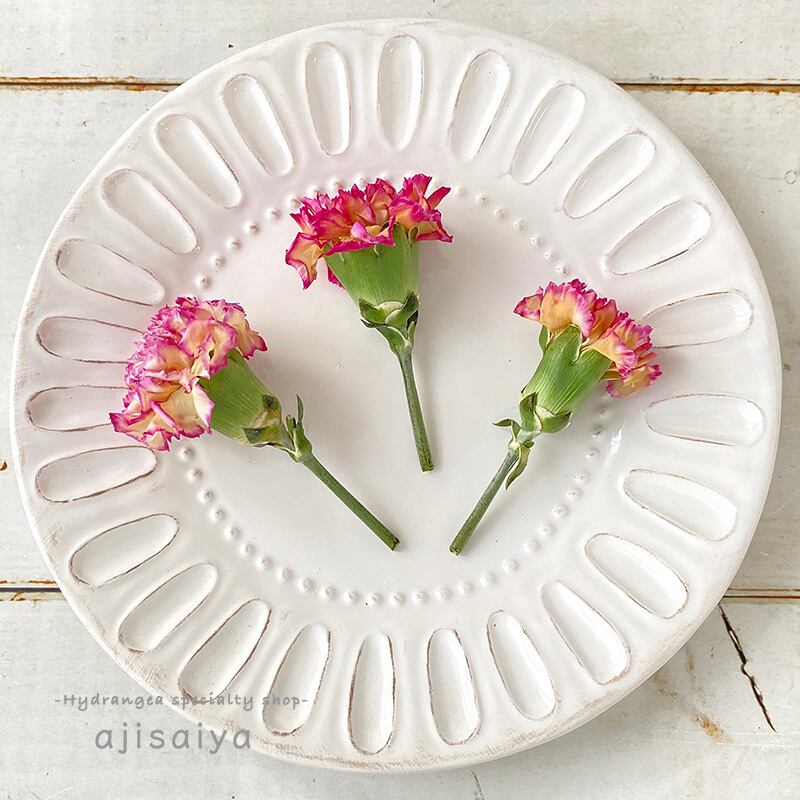 新製法 生花のような カーネーション ヘッド こまち ドライフラワー ビバーチェ 1輪 自然素材こわけ専門店 あじさいや