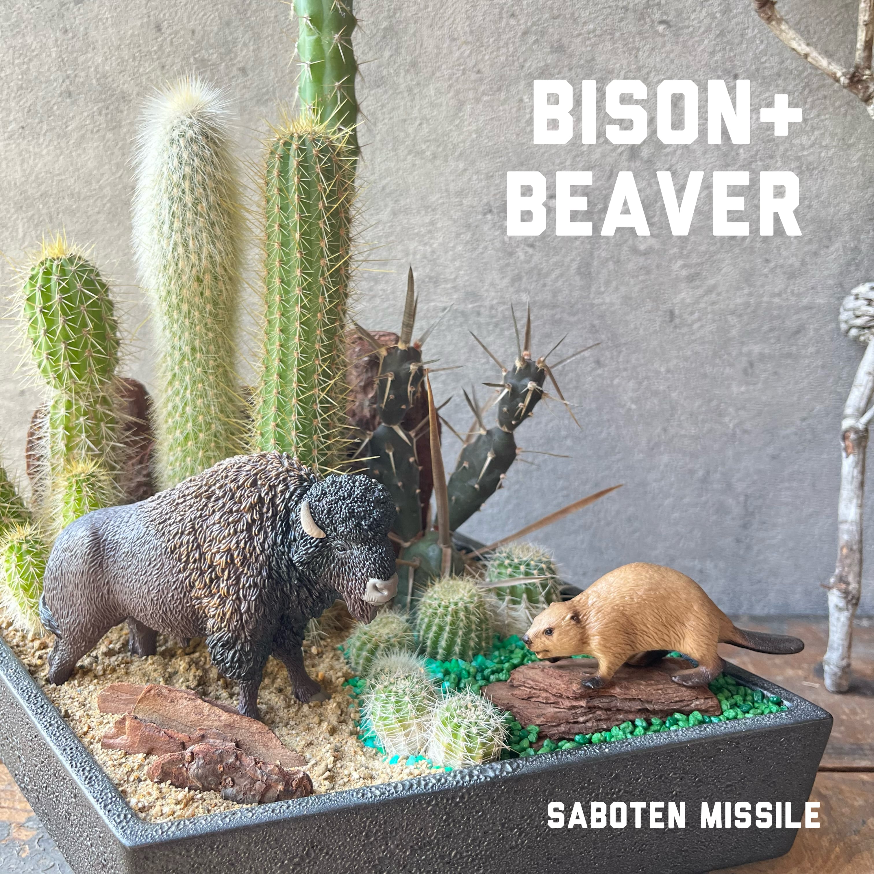 Bison+Beaver バイソン+ビーバー
