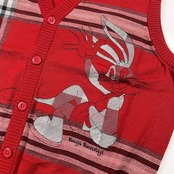 GREENCLUBS グリーンクラブ × バックスバニー 前ボタン ウールニット ベスト サイズ 5 /ワーナーブロス