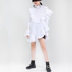 Ruffled bell sleeve high neck long shirt(ME002)