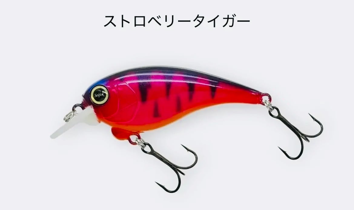 レヴォニック・Revonik・SaraMoa DryBone・サラモア・ドライボーン