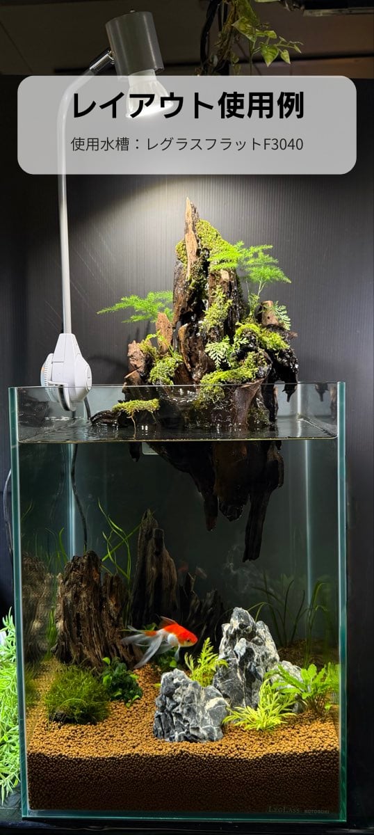 アクアテラリウム 浮根～fune～｜水槽に引っかけるだけで楽しめる