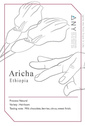 [100g] Aricha, Ethiopia - Natural / アリチャ、エチオピア - ナチュラル