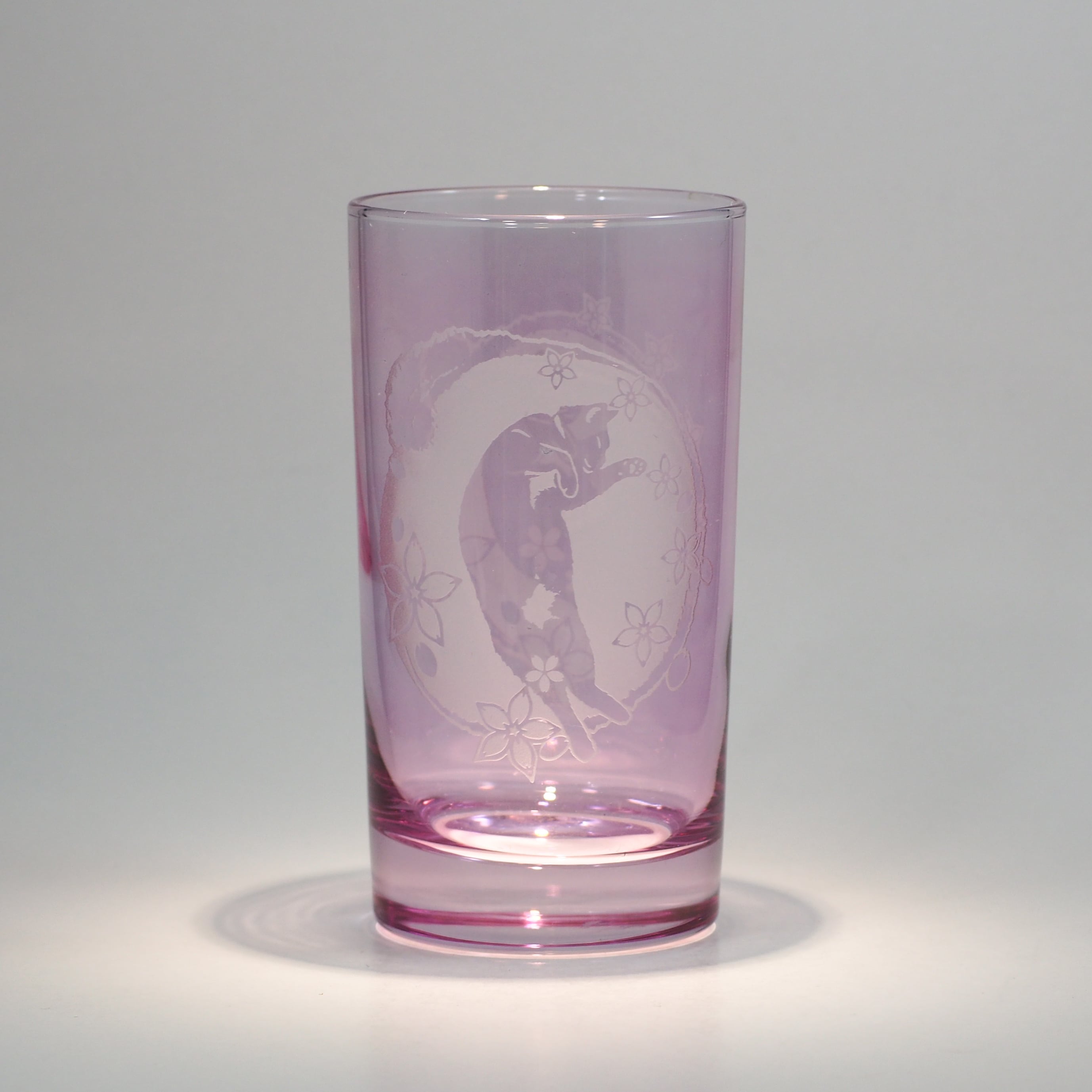 猫硝子 | 可夜硝子