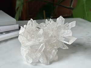 恋の魔法のランプ14