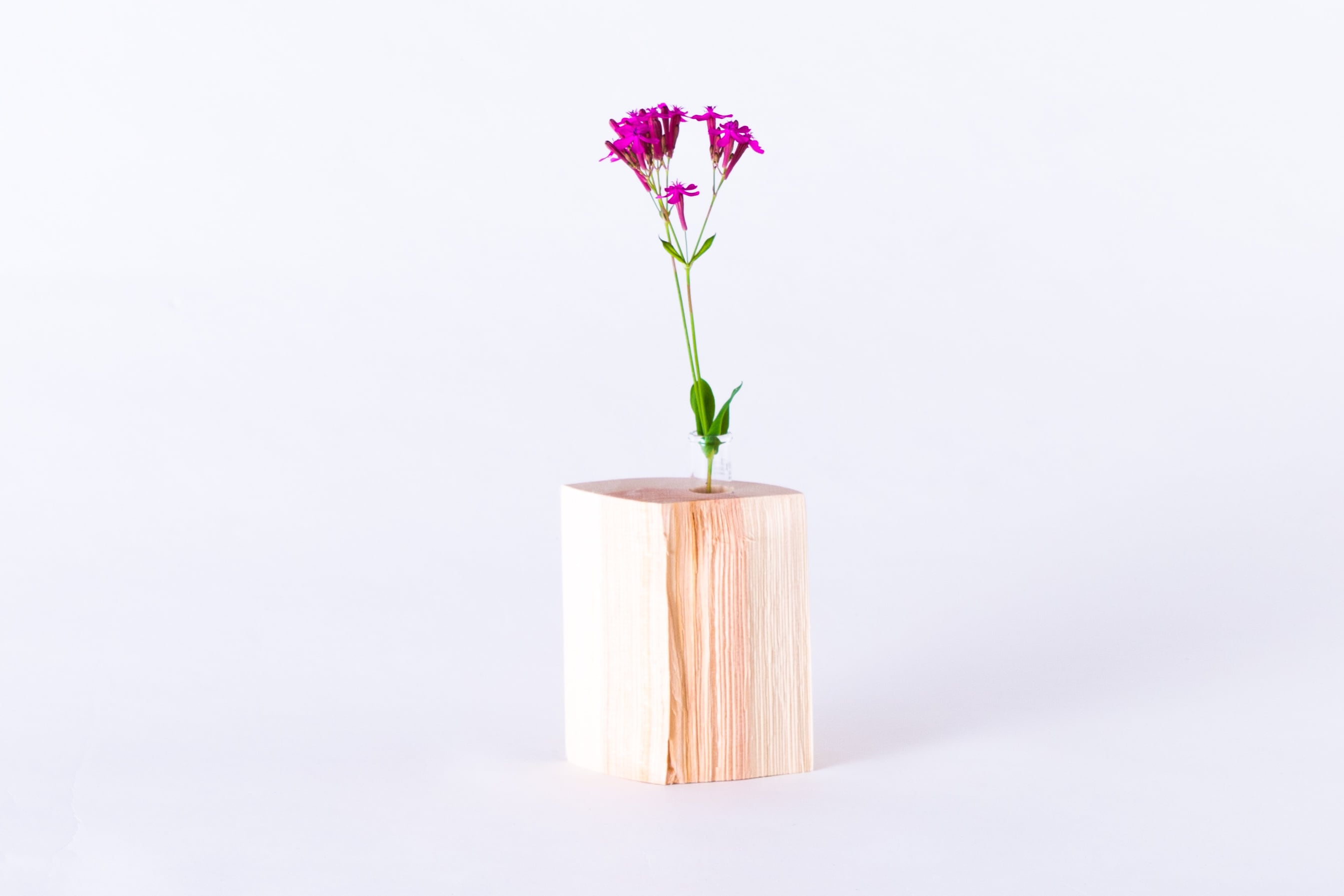 半割り丸太の一輪挿し | 東京チェンソーズ オンラインストア