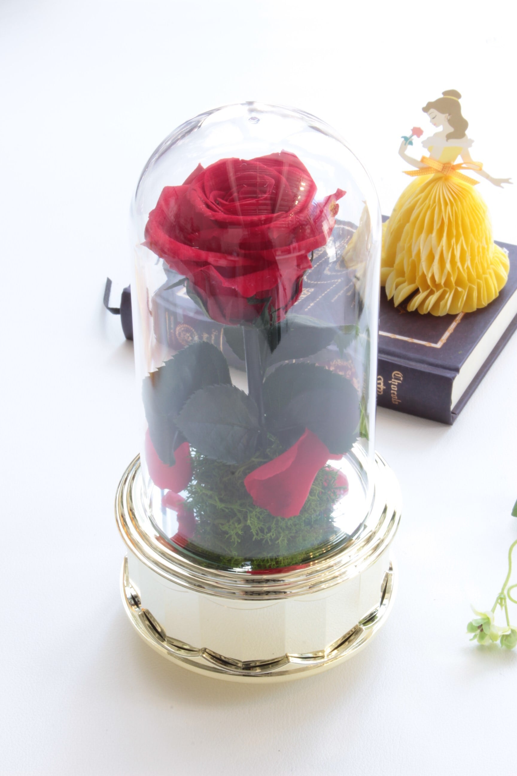 美女と野獣1輪の薔薇【オルゴール】 | 福岡のプリザーブド 美女と野獣1輪の薔薇【オルゴール】 | 福岡のプリザーブド